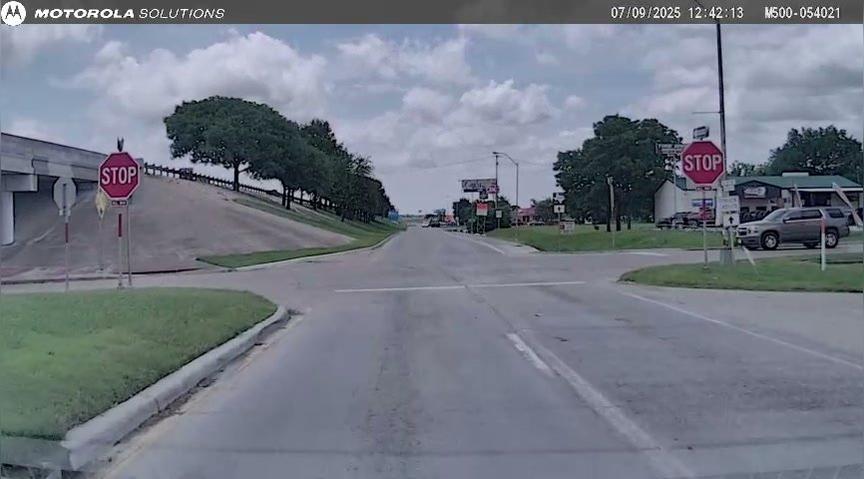 FPE290239 - Aradillas - Dash