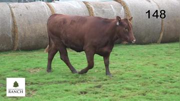 lot 148 M083