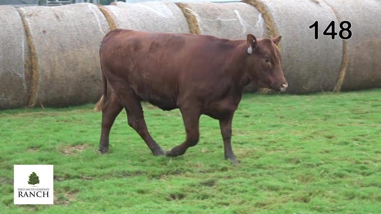 lot 148 M083