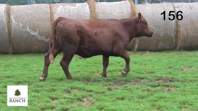 Lot 156 M094