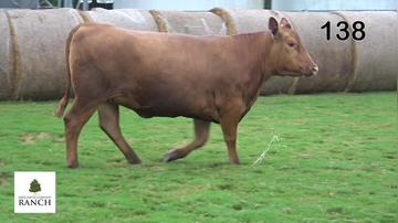 Lot 138 L056