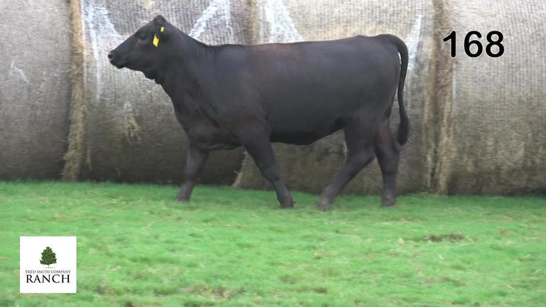 Lot 168 M329