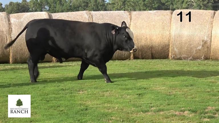 Lot 11 M001