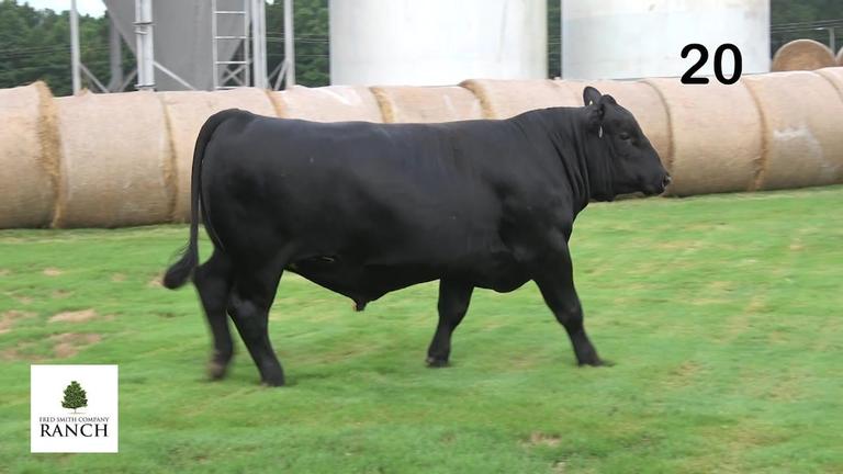 Lot 20 M135