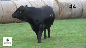 Lot 44 M121