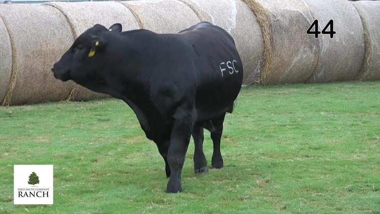 Lot 44 M121