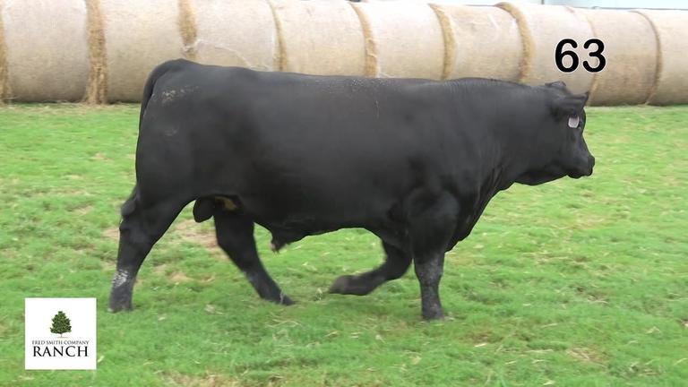 Lot 63 M207