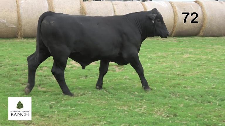Lot 72 M234