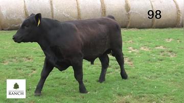 Lot 98 M325