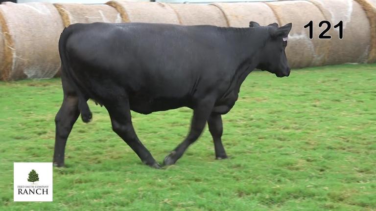 Lot 121 L214