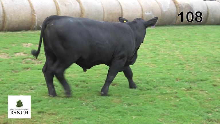 Lot 108 M286