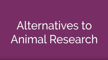 Alternatives to Animal Research