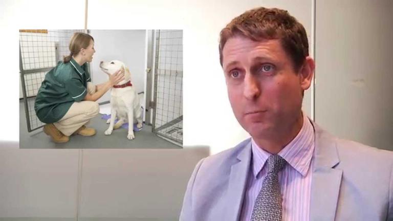 Humane Education - caring, not killing