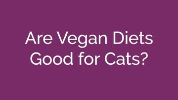 Are Vegan Diets Good for Cats