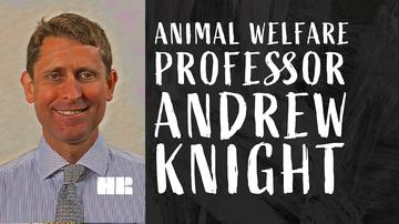 Prof. Andrew Knight | Can Dogs and Cats Be VEGAN?! | Animal Welfare | #87 HR