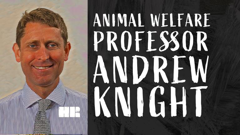Prof. Andrew Knight | Can Dogs and Cats Be VEGAN?! | Animal Welfare | #87 HR