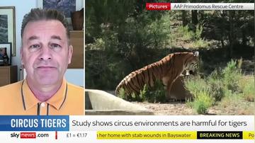 Sky News Circuses 2024 04 09
