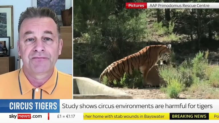 Sky News Circuses 2024 04 09