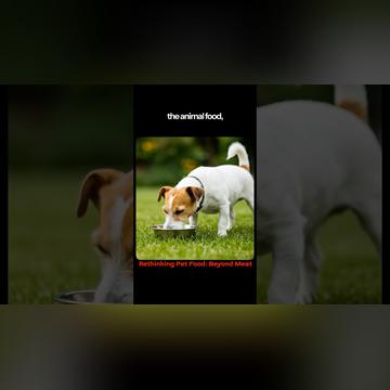 What Happens If Pets Go Plant-Based? | ? Dr. Andrew Knight on Science, Myths &amp; Perseverance