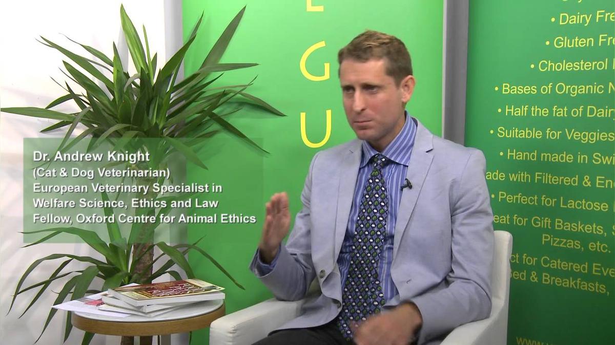 Can cats and dogs safely go vegetarian and what are the requirements of the vegetarian diet?