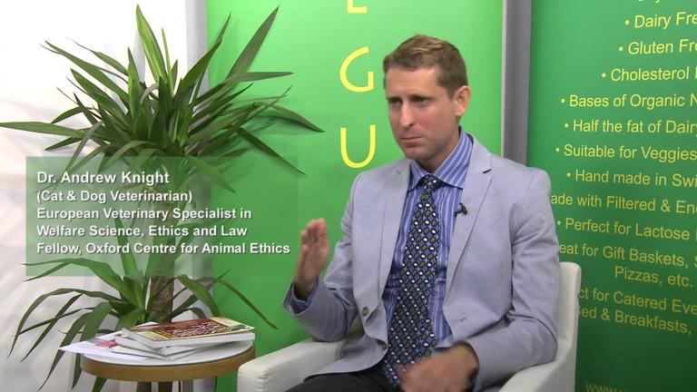 Can cats and dogs safely go vegetarian and what are the requirements of the vegetarian diet?