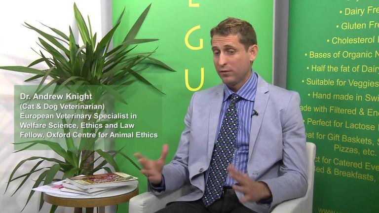 Why do people choose vegetarian diets for their cats and dogs?
