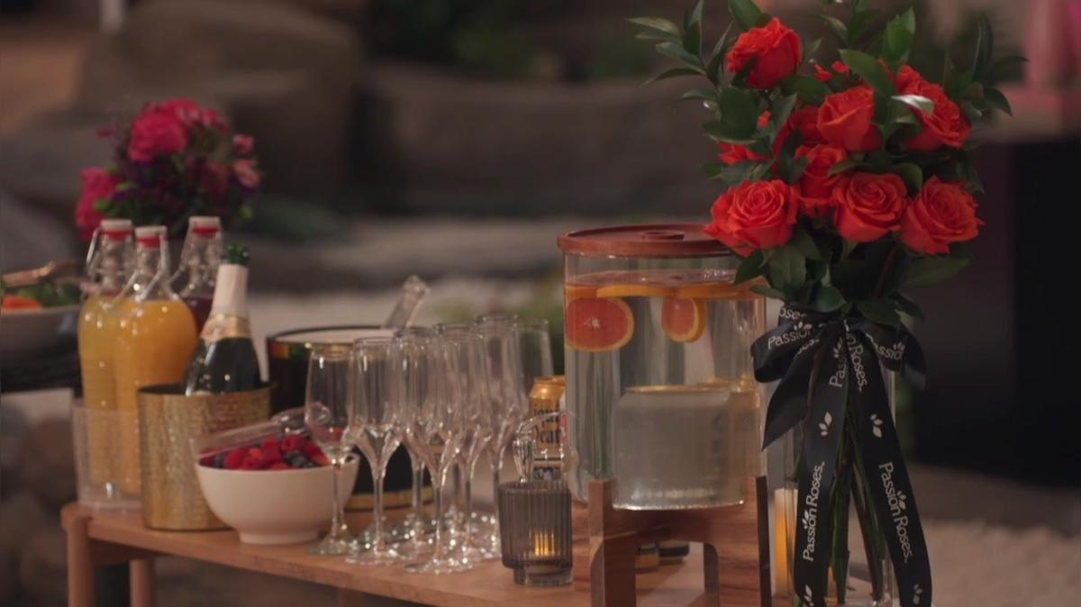 PassionRoses Plastic Surgery Rewind S1 E8