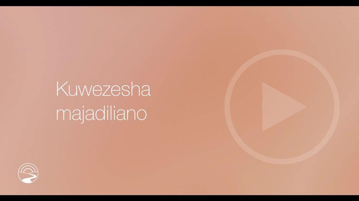 SW-TZ-SUB - How to 4 - Facilitate the Discussion