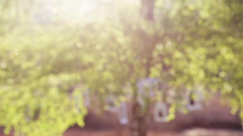 Make you a full hd photo slideshow video