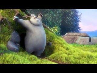 How was your post operative experience