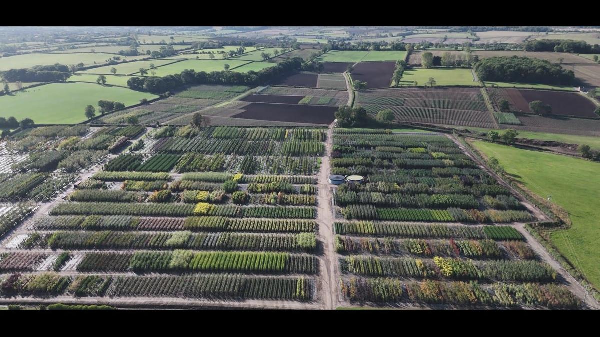 Landscaping and Outdoor Home Improvement