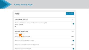 Security Alerts