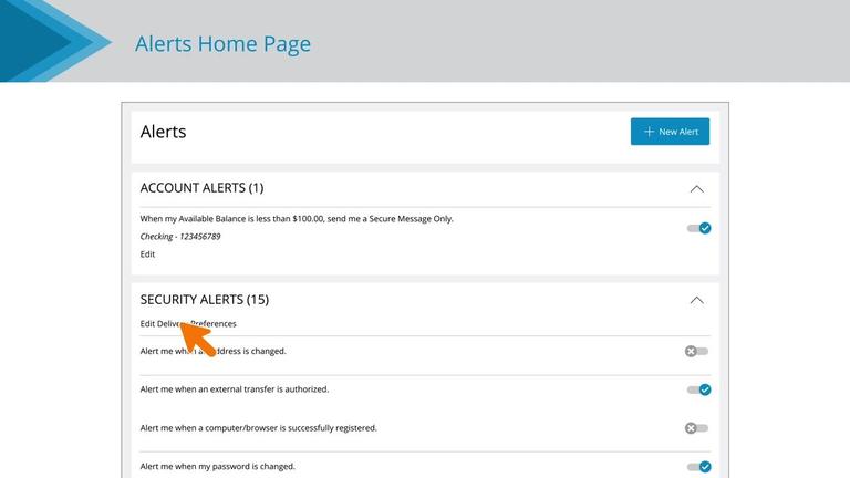 Security Alerts