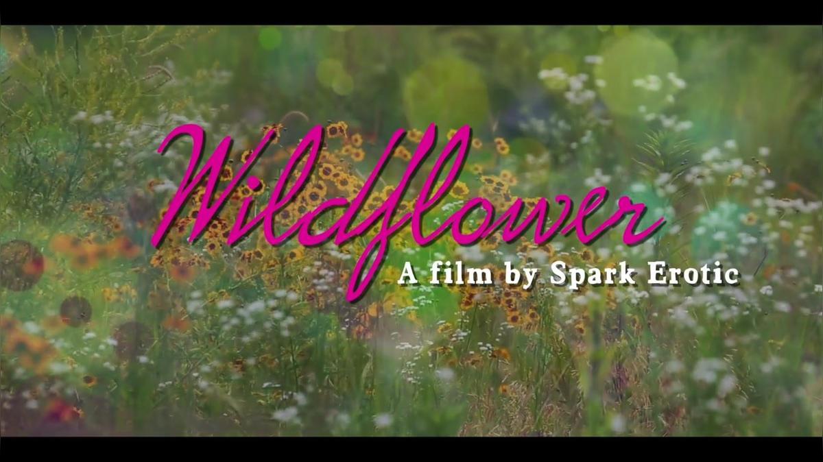 Wildflower Trailer
