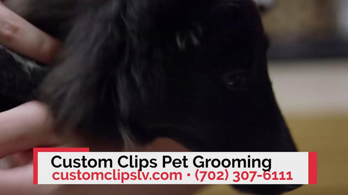Pet Grooming in Las Vegas NV, Custom Clips Pet Grooming