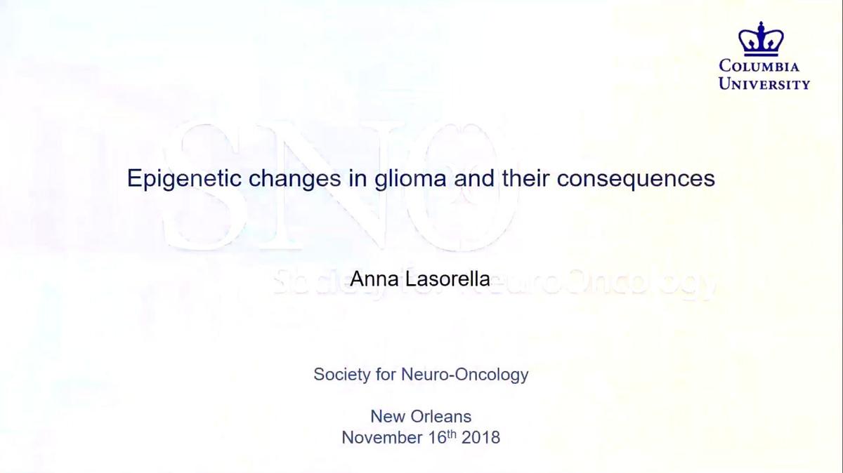 Epigenetics in tumors of the central nervous system: an overview, Anna Lasorella