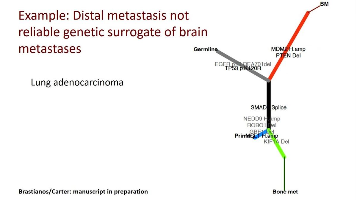 Genetic evolution in brain metastases, Priscilla Brastianos