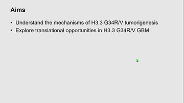 Targeting H3.3G34R/V re-wiring of the epigenome in pediatric glioblastoma of children and young adults, Lynn Bjerke