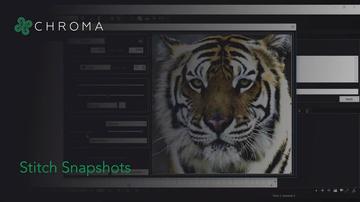 Chroma: Stitch Snapshot