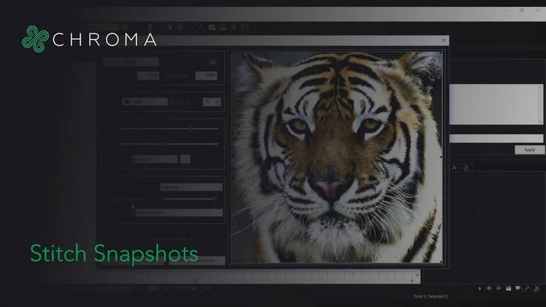 Chroma: Stitch Snapshot