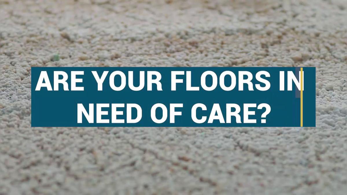 Carpet Cleaning in Lacombe AB, Performance Carpet Cleaning