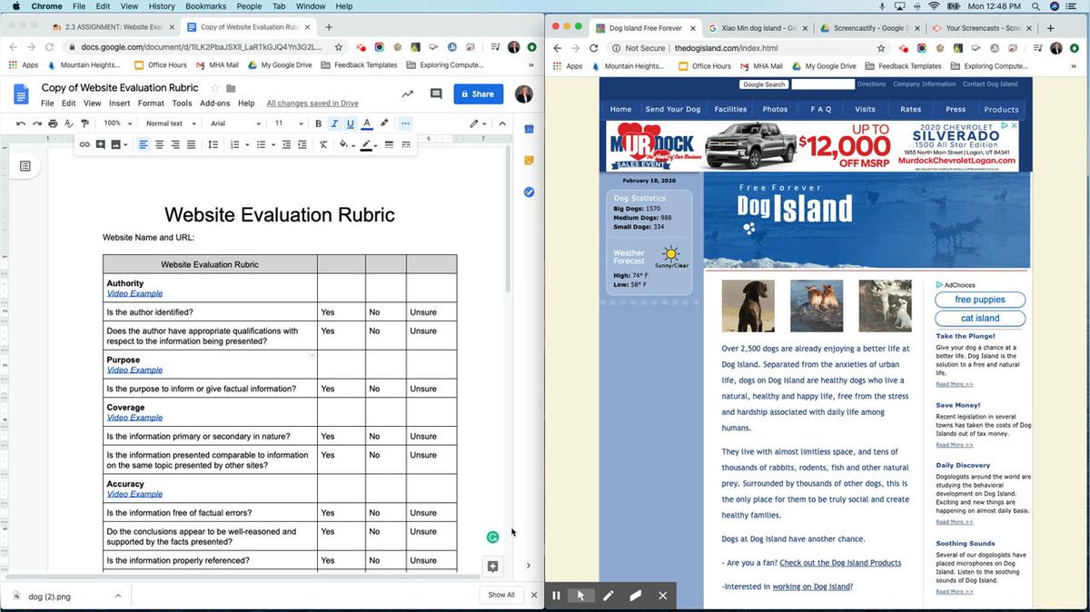 Purpose - Website Evaluation.mp4