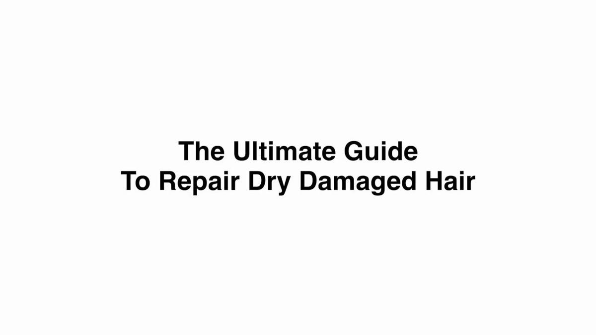 The Ultimate Guide Part 3