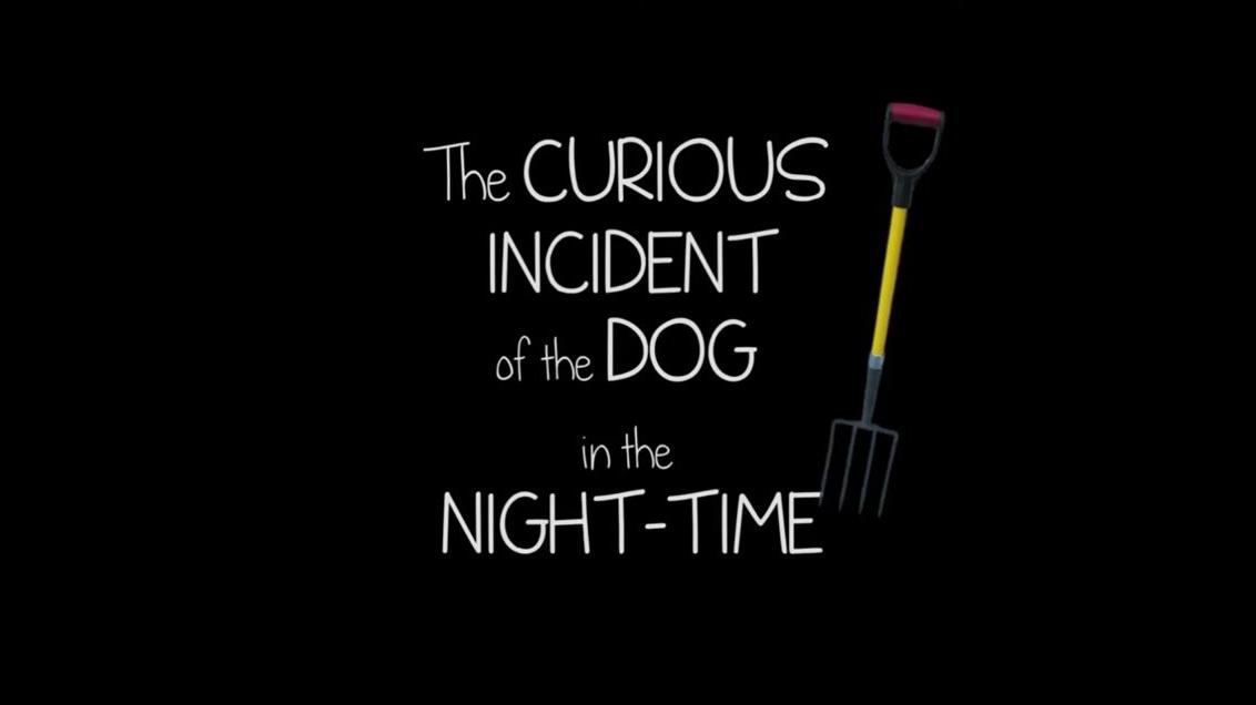 The Curious Incident of the Dog in the Night Time - YouTube