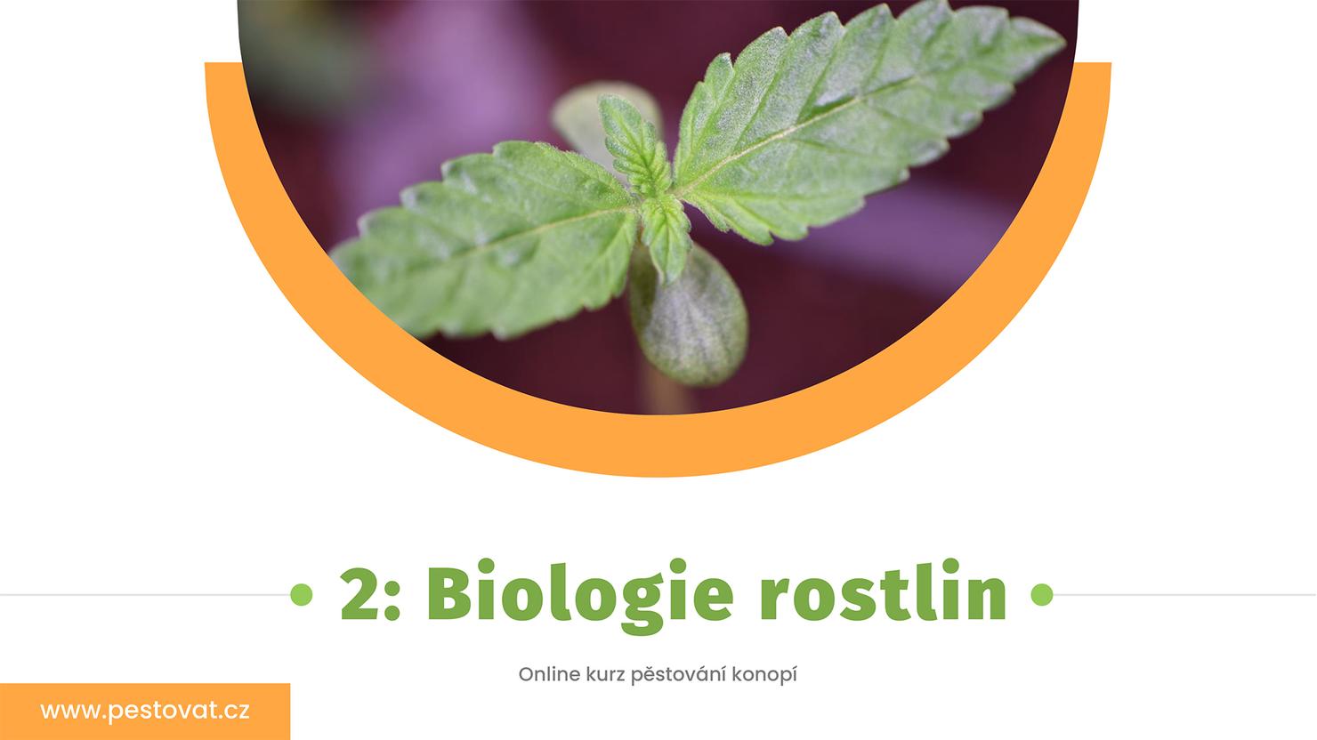 2. lekce: Biologie rostlin