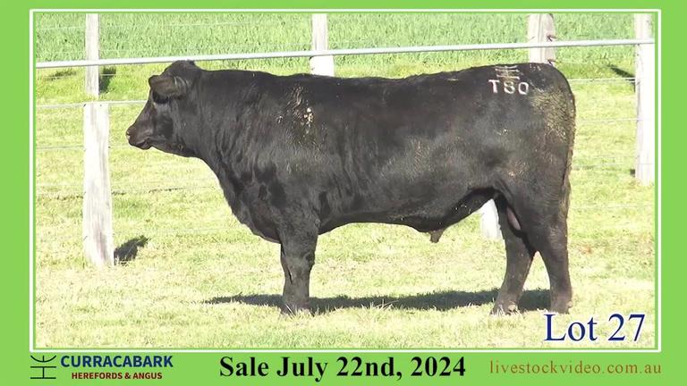 Lot 27
