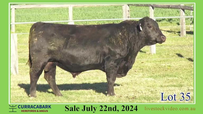 Lot 35
