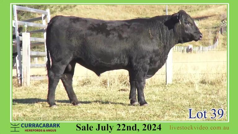 Lot 39