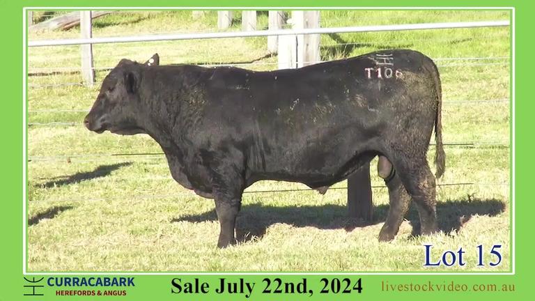 Lot 15