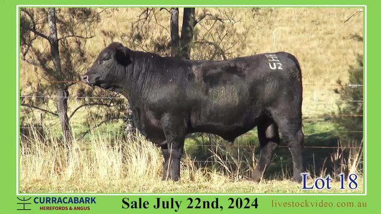 Lot 18